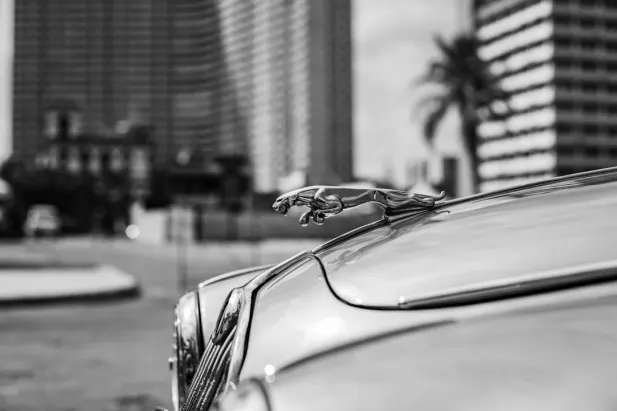 Kasino Loyal Bet Android/iOS aplikace